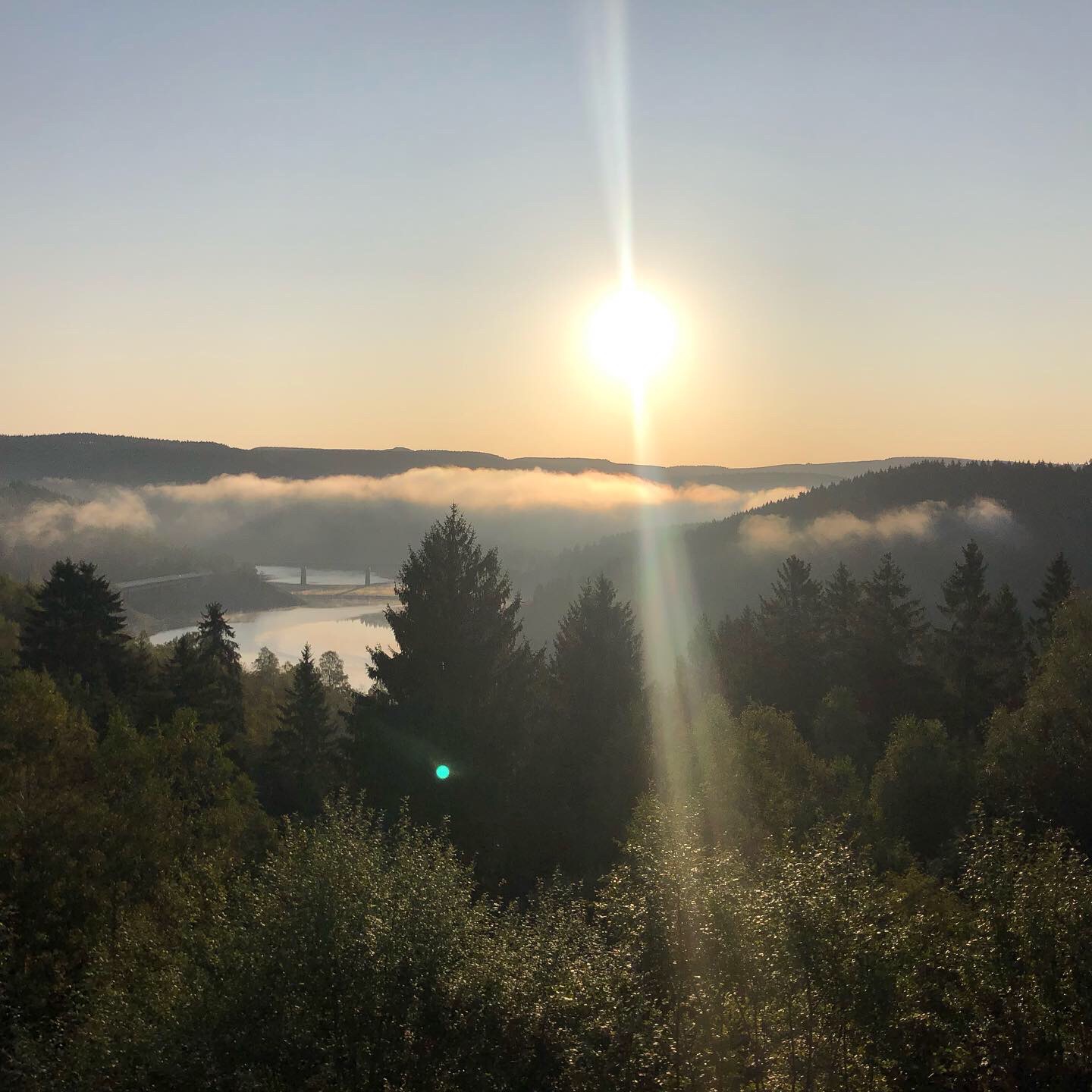 Sonnenaufgang über bewaldeter Landschaft