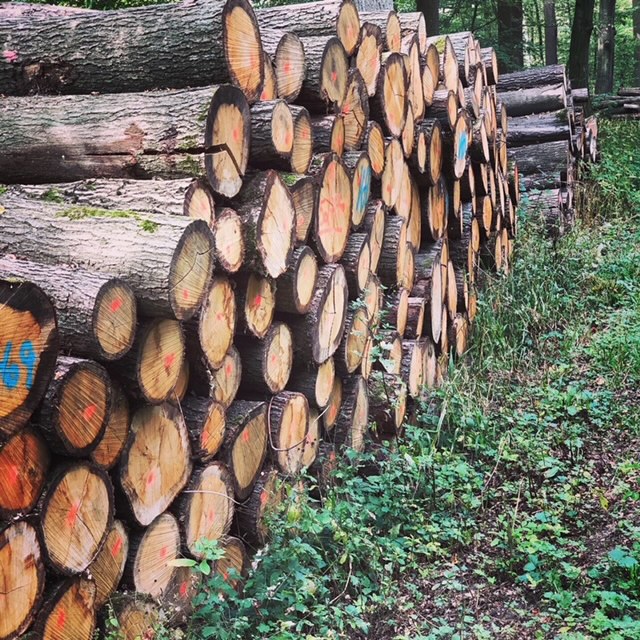 Stapel von Holzscheiten